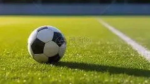 188bet备用网址 产品 103702 b8o