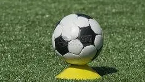 188bet备用网址 产品 122253 54d