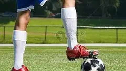 宏源HLT创新法：重金属污染治理新突破